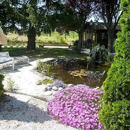 Le Bassin Du Tertre