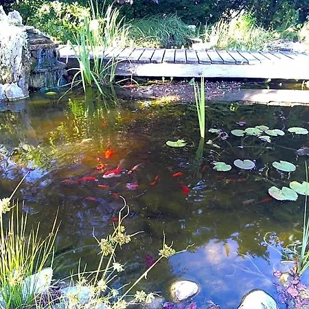 Le Bassin Du Tertre Couette-café Fronsac (Gironde)
