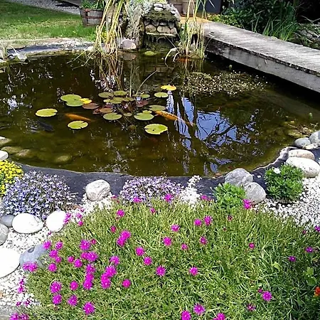 Le Bassin Du Tertre Fronsac (Gironde)